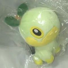 ポケモン テールナー ぬいぐるみ ポケパークカントー 202509241431