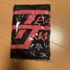 TWICE SANA タオル WORLD TOUR IN JAPAN - メルカリ