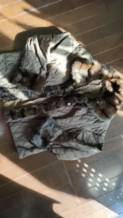 Item thumbnail for item 02654f36-45f6-445b-ad77-e12aab9638f1