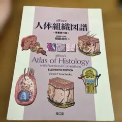 2026年最新】difiore人体組織図譜の人気アイテム - メルカリ
