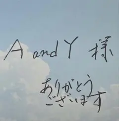 A and Y 様　専用