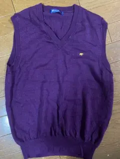 ゴールデンベア ベスト【美品】