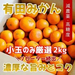 ◇小玉・小粒厳選【減農薬】甘くて濃い！有田みかん 訳あり 家庭用 2kg0501