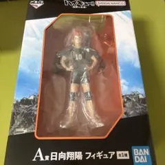 ハイキュー！！一番くじ　烏野の未来　A賞日向翔陽フィギュア