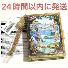 新品☆東京ディズニーシー ファンタジースプリングス パスケース ファンダフル限定