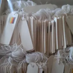 Item thumbnail for item 7afcdeaa-cf23-49c9-9edd-1b0b8f2adc42