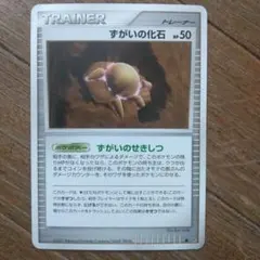 2025年最新】ずがいの化石の人気アイテム - メルカリ