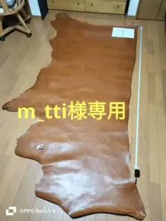 Item thumbnail for item 4b016b0b-ac01-4b0d-9a8c-6cc684f101f3