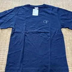 Item thumbnail for item 3731d76d-d35f-499f-82ff-dd7a2a0e2877