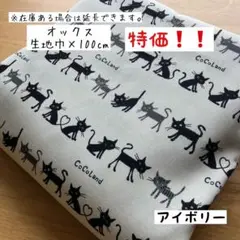 《オックス》ねこボーダー アイボリー ねこ柄 猫柄 ネコ柄