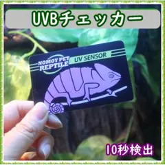 UVBチェッカー UVB UVテストカード 紫外線テスター 爬虫類のサムネイル