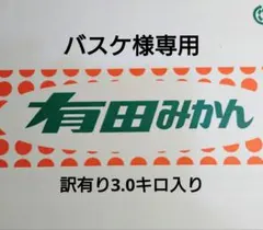 バスケ様専用 訳あり木塾由良早生 小さ目 3.0キロ入り 23-4