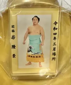 大相撲　若隆景　優勝額風アクリルバッジ　クレーンゲーム限定