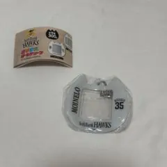 ホークス　モイネロ