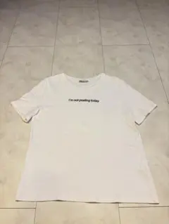 ZARA Tシャツ