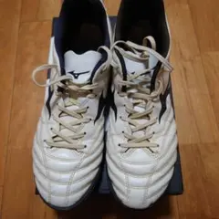 モナルシーダ 26.5