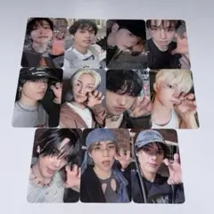 ドボイズ ドボ 導火線 トレカ エバラ 全員セット