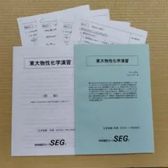 2026年最新】SEG テキストの人気アイテム - メルカリ