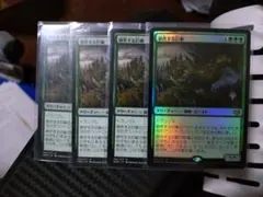 地平線の梢/Horizon Canopy 4枚セット - メルカリ