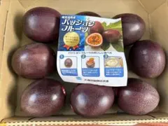 パッションフルーツ10個~12個 鹿児島県産のサムネイル