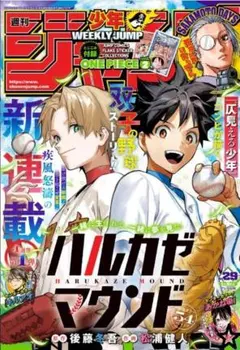 【切り取りなし 美品 送料込み 付録あり】週刊 少年ジャンプ 2025年 29号