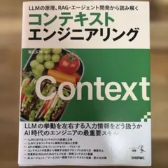 LLMの原理、RAG・エージェント開発から読み解く コンテキストエンジニアリング