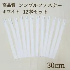 新商品 ファスナー 12本セット 30cm ホワイト ハンドメイド パーツ 素材
