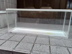 GEX 60cm 水槽　引き取り限定 大阪府大東市のサムネイル