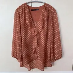【値下げ】ZARAシースルー可愛いブラウス❣️美品❣️
