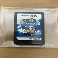 【新着】任天堂 Nintendo DS 牧場物語　コロボックルステーション