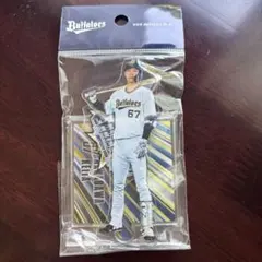 中川圭太 アクスタ2023 オリックス - メルカリ