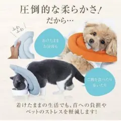 【1点限り】　エリザベスカラー　子猫 子犬 ソフト 引っ掻き防止　術後 傷口保護