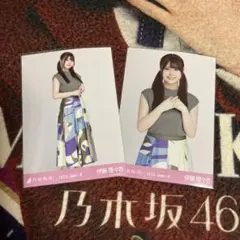 乃木坂46 生写真 ノースリーブニット 伊藤理々杏 ヒキチュウ セミコンプ