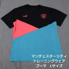マンチェスターシティ トレーニングシャツ Lサイズ プーマ