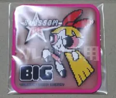 ※残り1点※★ブロッサム★パワーパフガールズ　クリアラバーコースター2