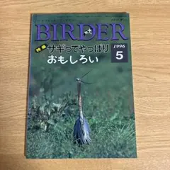 BIRDER 1996年2月号 ワシタカ類特集 バードウォッチング - メルカリ