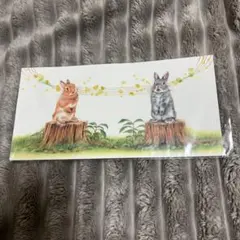 しらとあきこ　なんでなんで？ 大判ポストカード こころのうた
