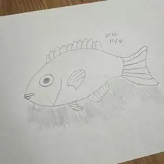 魚の絵　A4サイズ