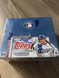 D*S様 MLB マイク・シュミット(フィリーズ3B殿堂入)直筆サイン入ボール