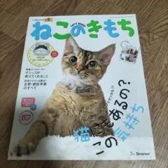 Item thumbnail for item 4733087e-d989-4c50-88c1-253f620bc3f7