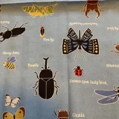 昆虫柄プリント生地 水色 38×49 カットクロス