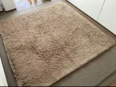 ラグ