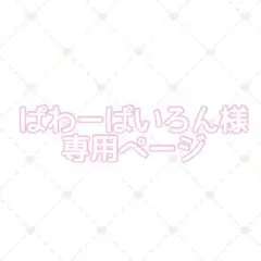 ぱわーぱいろん様 専用ページ