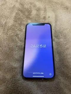 【美品】iPhone12Pro 256GB [SIMフリー] パシフィックブルー