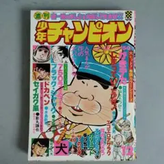 ジャンプ、マガジン、チャンピオン、サンデーセット売り14冊 ジャンプ、マガジン、チャンピオン、サンデーセット売り14冊