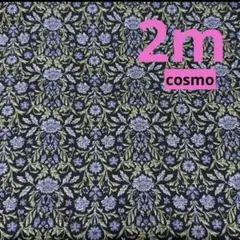 Item thumbnail for item 2a74f266-3a78-4001-a0ee-4089deca3cef