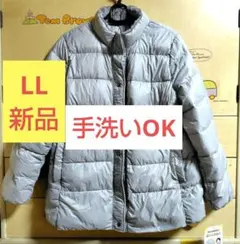 Item thumbnail for item 528f1f15-5e65-4421-8394-bb9d9296c544