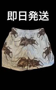 supreme 21SSBeetle Short ビートルショーツ スカイブルー