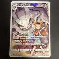 2026年最新】ハガネールchrの人気アイテム - メルカリ