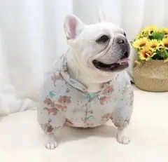 Item thumbnail for item 4dd76f21-f2fe-4a94-b828-115778051ae0